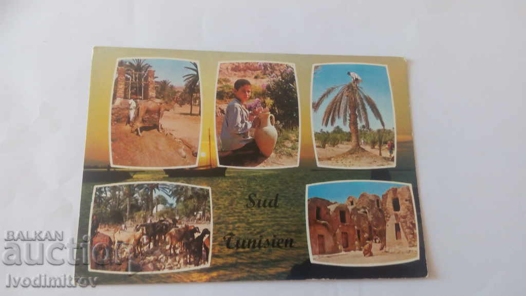 Postcard Vues Pittoresques du Sud Tunisien