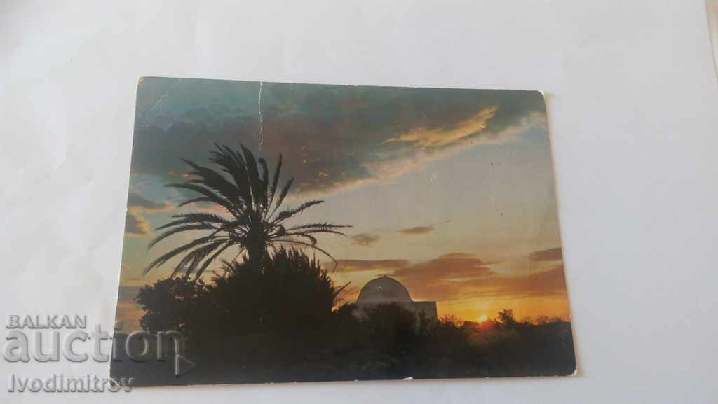 Postcard Sud Tunisien Coucher du Soleil