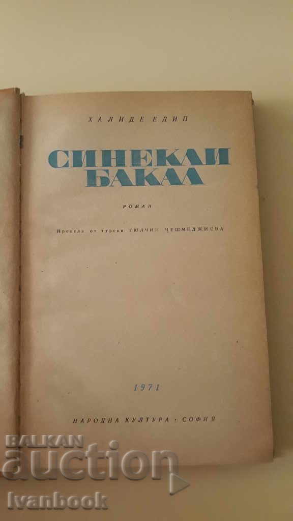 Delivery of Cinque Bakal - Halide Oedipus Delivery of Cinque Bakal - Halide Oedipus
