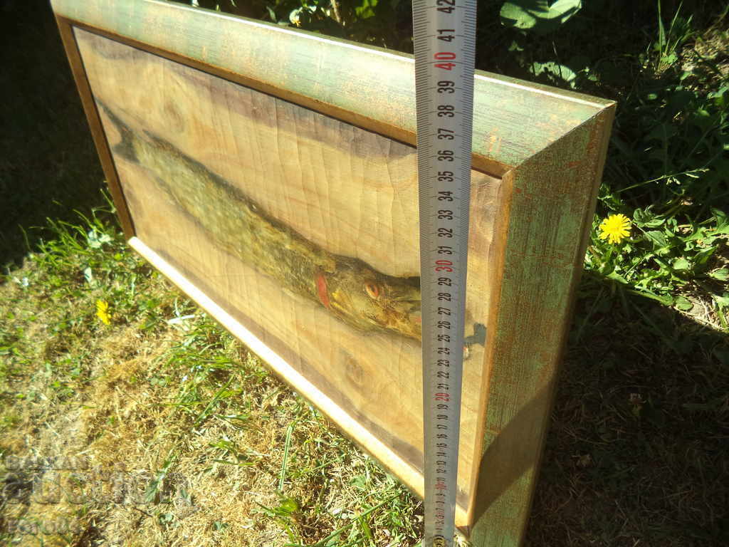 Ivan Sheytanov (1884-1967) - PIKE FISH - 5 Ivan Sheytanov (1884-1967) - PIKE FISH - 5