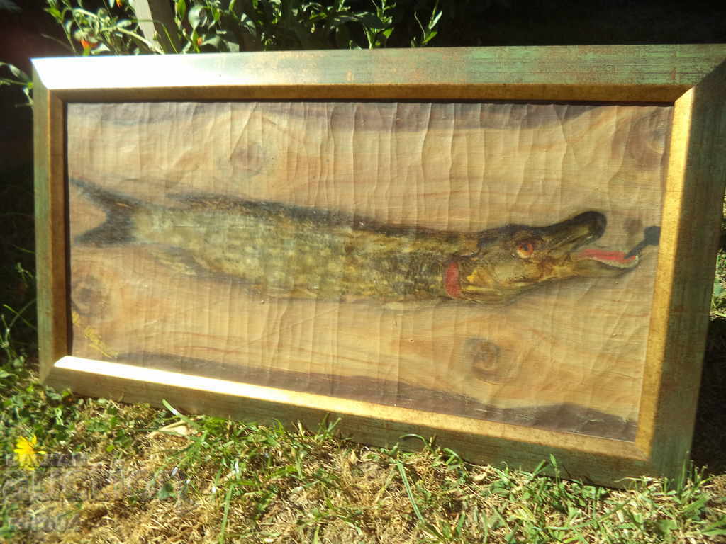 Ivan Sheytanov (1884-1967) - PIKE FISH - 6 Ivan Sheytanov (1884-1967) - PIKE FISH - 6