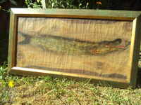 Ivan Sheytanov (1884-1967) - PIKE FISH