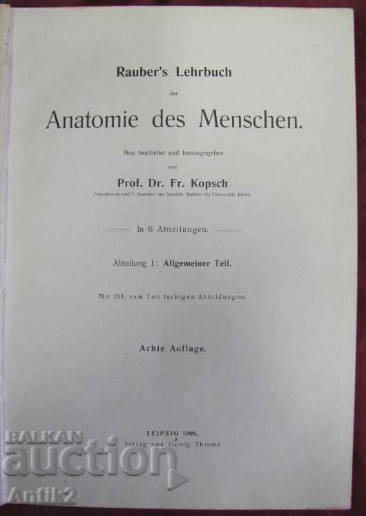 1908 Medical Book-Anatomy Germany with price 90.00 BGN | € 46.02 1908 Medical Book-Anatomy Germany with price 90.00 BGN | € 46.02