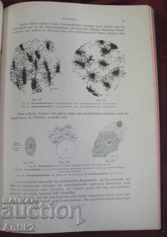 1908 Medical Book-Anatomy Germany - 7 1908 Medical Book-Anatomy Germany - 7