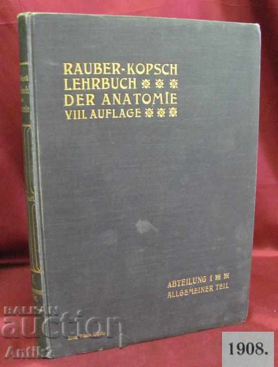 1908. Carte medicală-Anatomie Germania