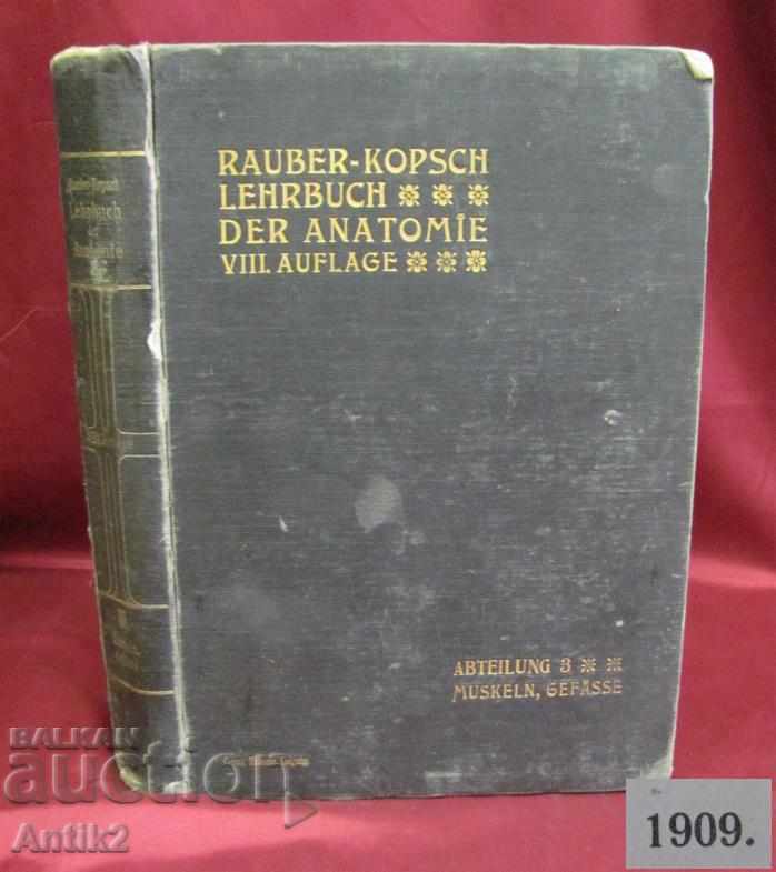 1909 Ιατρικό Βιβλίο-Ανατομία Γερμανίας