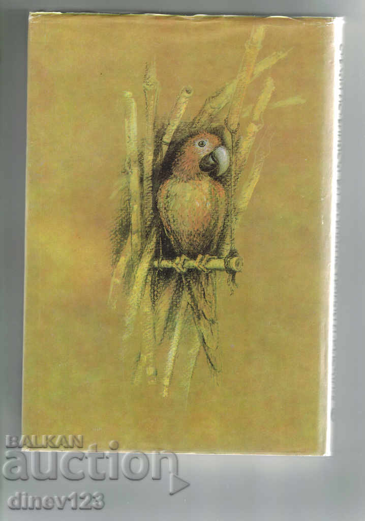 ROBINSON CRUZO'S LIFE AND THE ADVENTURES OF DANIEL DEFO with price 5.00 BGN | € 2.56 ROBINSON CRUZO'S LIFE AND THE ADVENTURES OF DANIEL DEFO with price 5.00 BGN | € 2.56