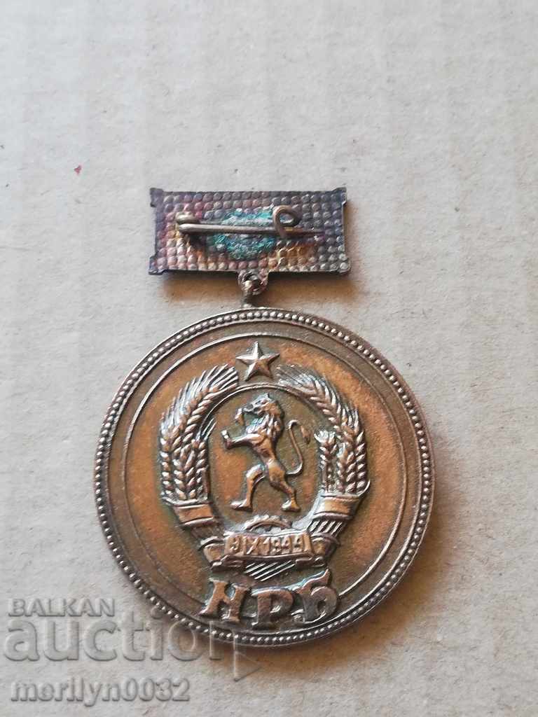 Silver Medal of Excellence and Exemplary Behavior - 7 Silver Medal of Excellence and Exemplary Behavior - 7