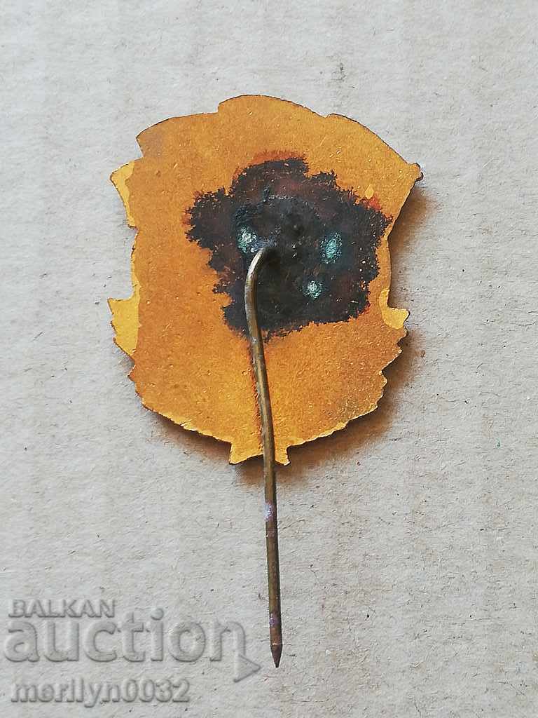 Badge Dimitrovgrad 1951 g badge with enamel medal box - 6