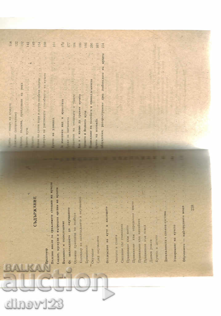 Аукцион кинология БОБИ-ХОБИ - ЙОЖЕФ ХАЯШ