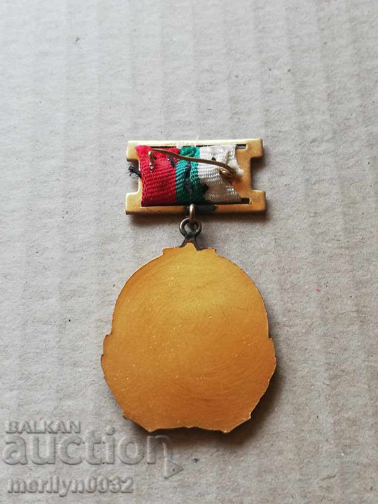 Delivery of Medal Honored Worker of Physical Culture of the BSFS Delivery of Medal Honored Worker of Physical Culture of the BSFS