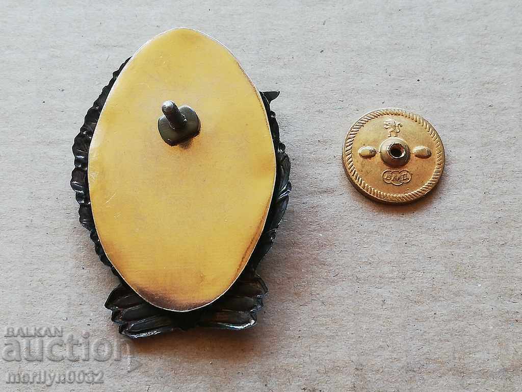 Awarded Pilot Badge 2nd Class Issue 1980 Medal - 5 Awarded Pilot Badge 2nd Class Issue 1980 Medal - 5