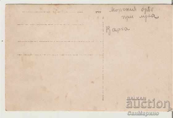 Card Bulgaria Varna Sea coast by the moon * with price 2.60 BGN | € 1.33 Card Bulgaria Varna Sea coast by the moon * with price 2.60 BGN | € 1.33