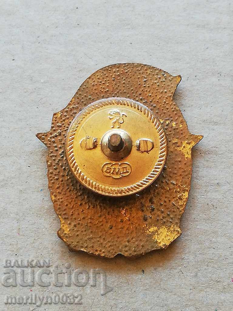 Auction Firefighter Badge Excellent DPO Badge Medal Auction Firefighter Badge Excellent DPO Badge Medal