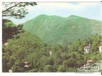 Postcard Bulgaria G. Dimitrov Resort View 4 *