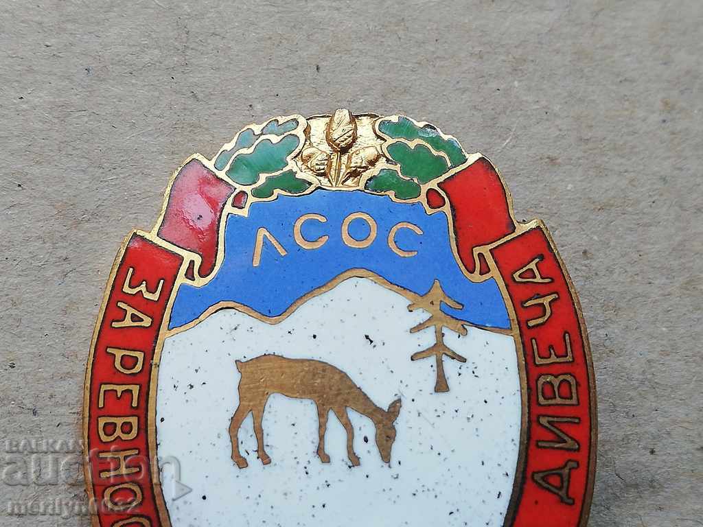 Φύση υπογράφει το βασιλικό μετάλλιο της Βουλγαρίας - 5 Φύση υπογράφει το βασιλικό μετάλλιο της Βουλγαρίας - 5