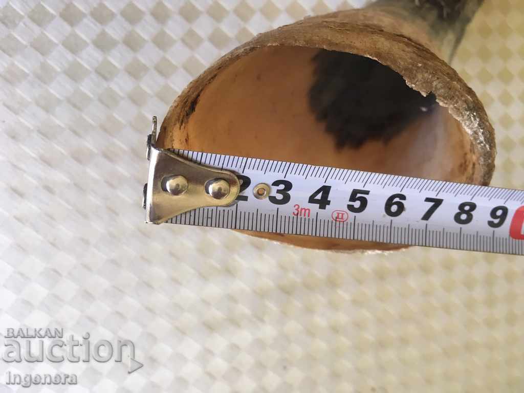 Auction HORRIBLE OR INTERIOR Auction HORRIBLE OR INTERIOR