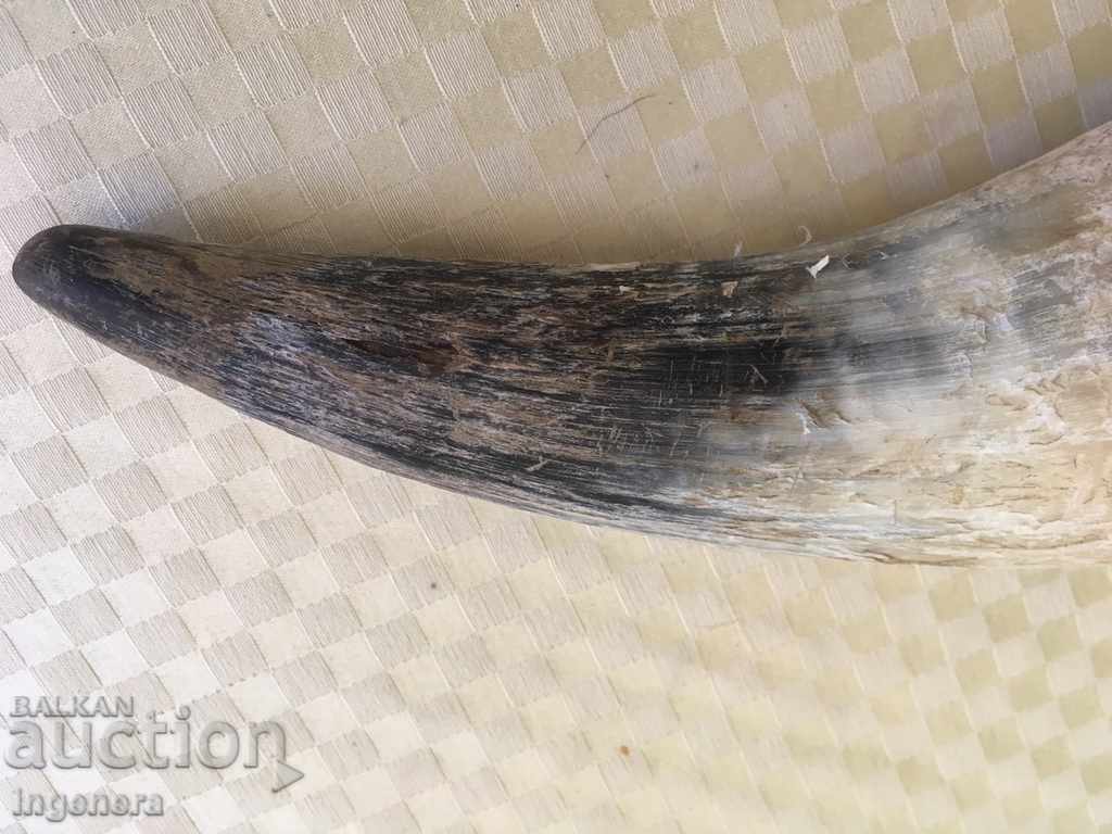 Delivery of HORRIBLE OR INTERIOR Delivery of HORRIBLE OR INTERIOR