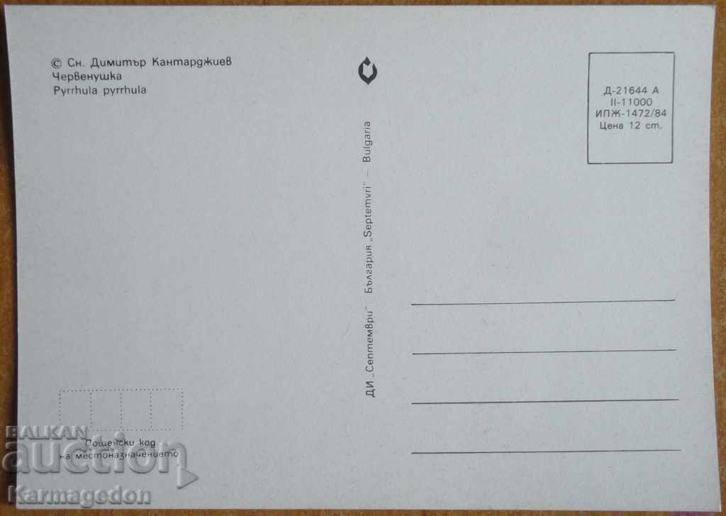 Καρτ ποστάλ - πουλί με κόκκινα αυτιά με τιμή € 0.50 | 0.98 BGN