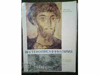 Светлин Босилков: 12 стенописа в България