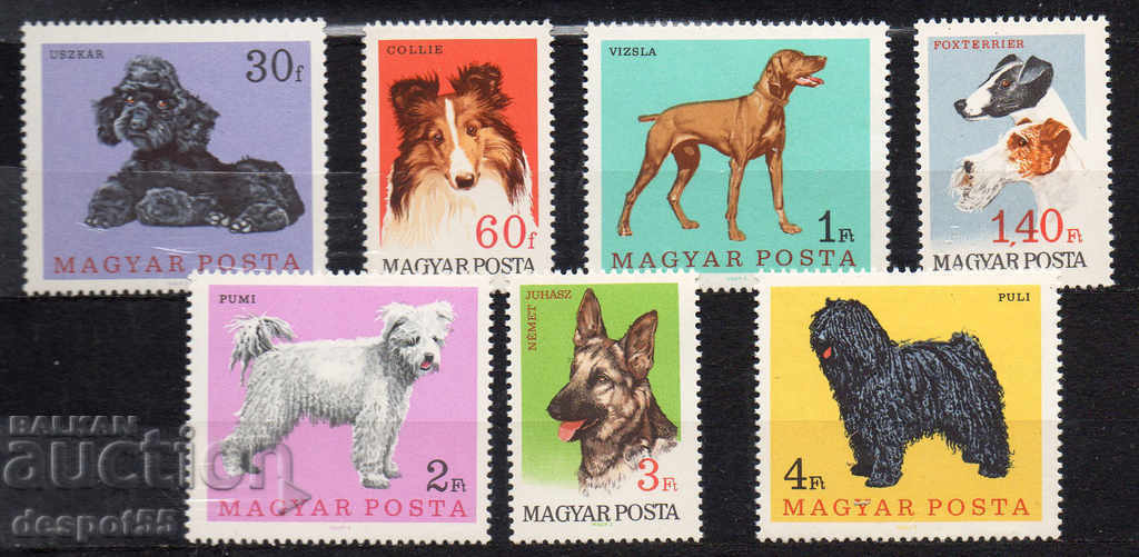 1967. Hungary. Dogs.