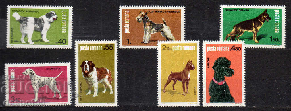 1981. Romania. Dog Show "Canina".