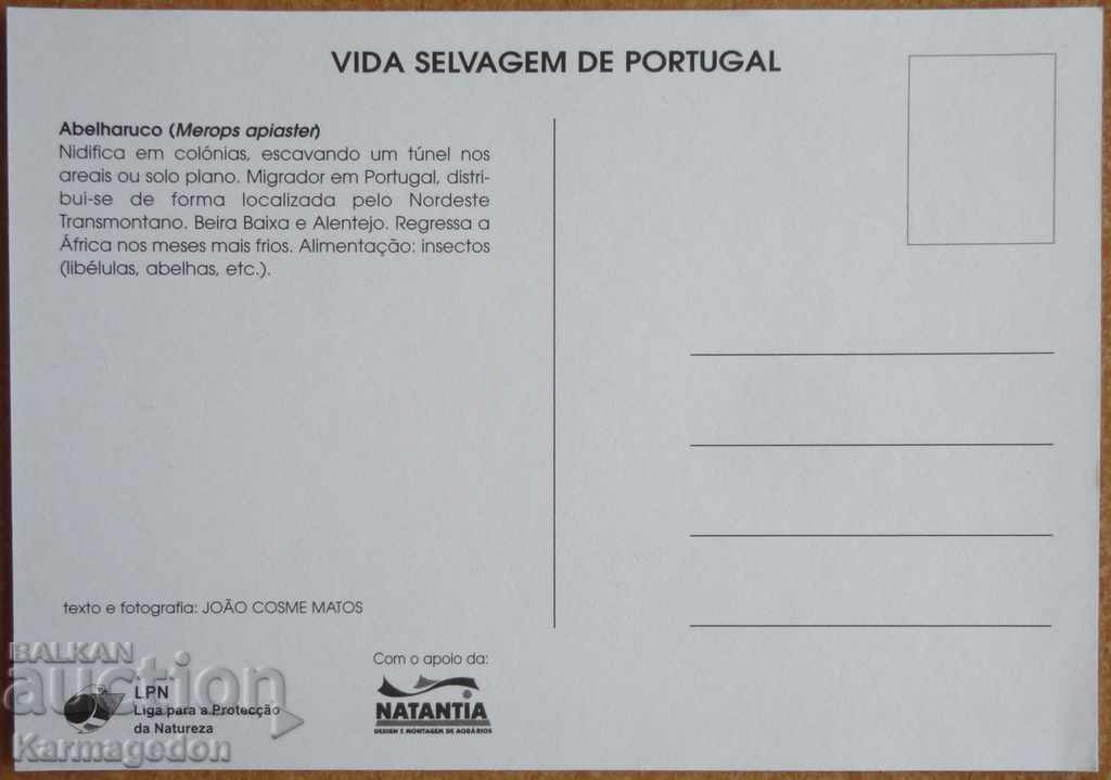 Card - Pasăre, Portugalia cu preț € 0.50 | 0.98 BGN