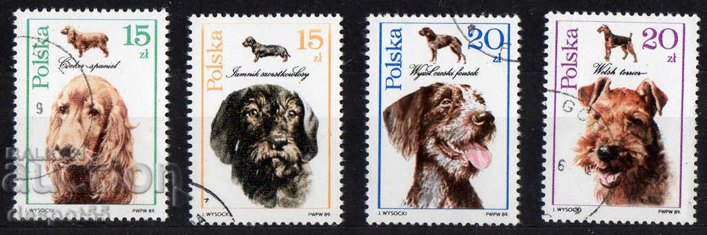 1989. Poland. Dogs.