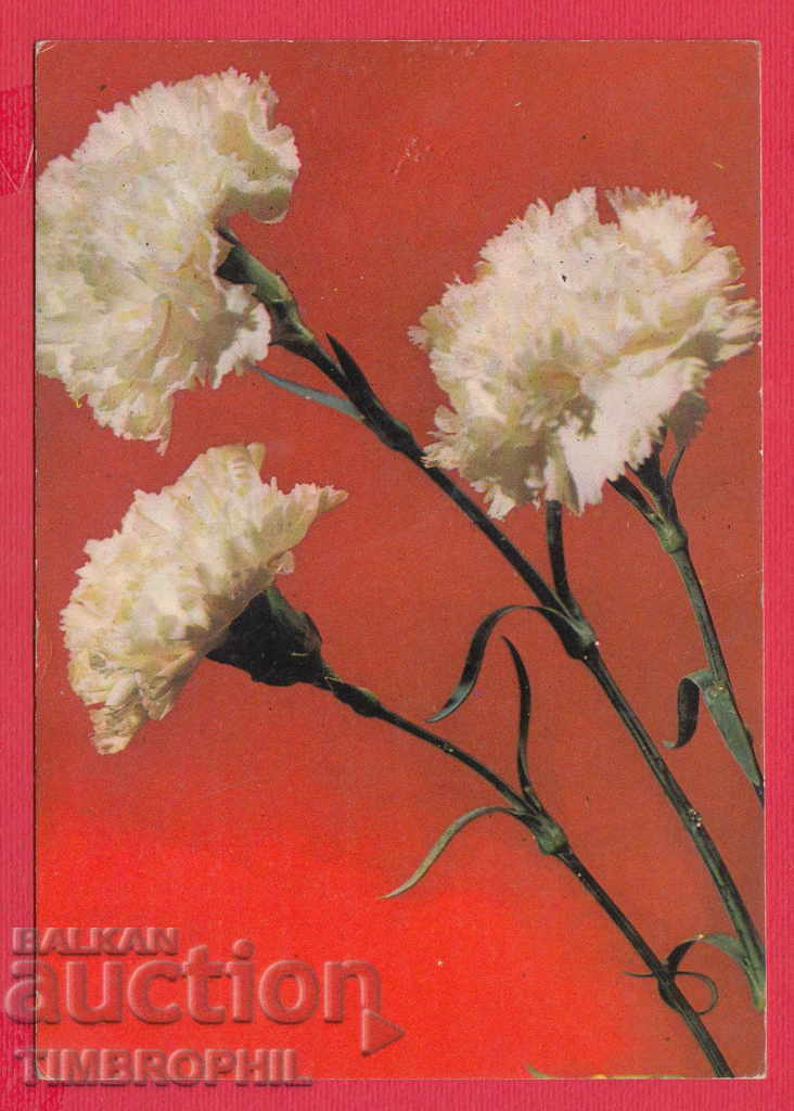 248192 / DSU - GABROVO, CONGRATULATIONS FOR THE 34TH ANNIVERSARY with price 2.00 BGN | € 1.02 248192 / DSU - GABROVO, CONGRATULATIONS FOR THE 34TH ANNIVERSARY with price 2.00 BGN | € 1.02