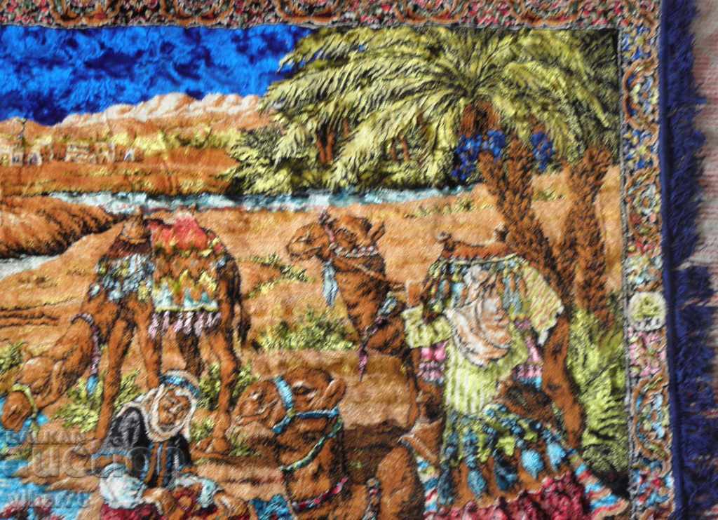 Old plush carpet behind the wall with price 149.99 BGN | € 76.69