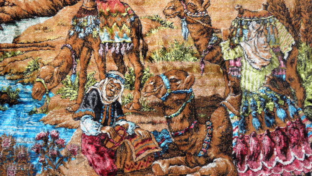 Old plush carpet behind the wall - 7