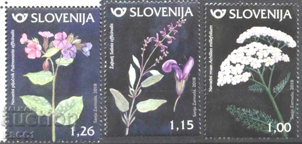 Pure Brand Flora Flowers Herbs 2019 from Slovenia