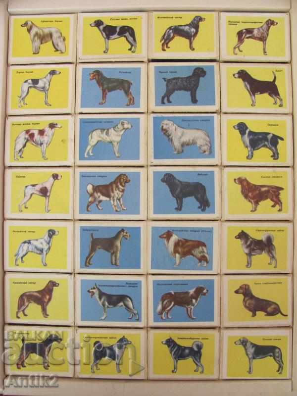 Auction Old Souvenir Set of Kibrites USSR Auction Old Souvenir Set of Kibrites USSR