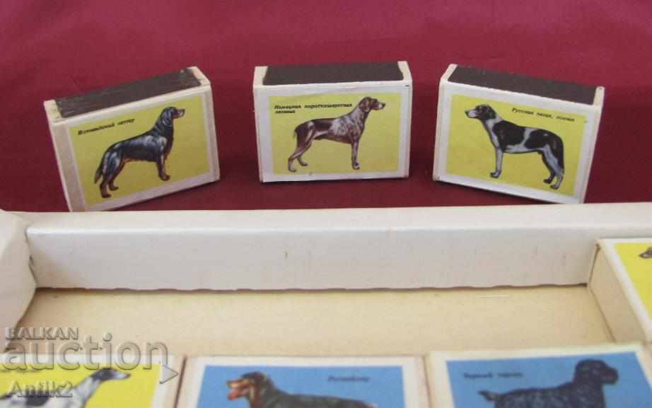 Delivery of Old Souvenir Set of Kibrites USSR Delivery of Old Souvenir Set of Kibrites USSR