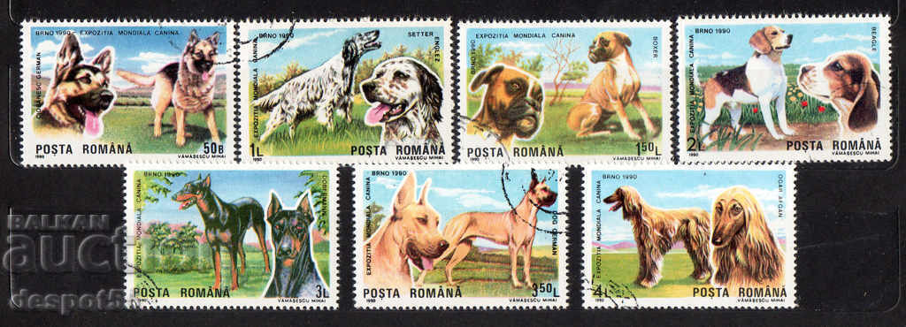 1990. Romania. Dog breeds.
