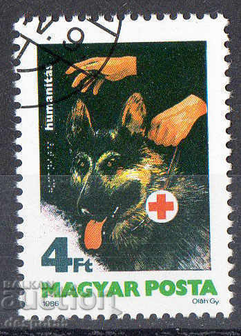 1986. Hungary. Guide dogs.