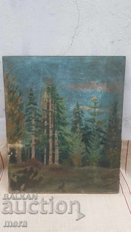 Old picture. - 6 Old picture. - 6