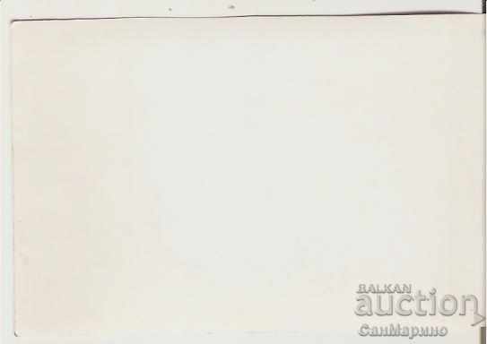 Card Bulgaria Varna Golden Sands Casino 17 * with price 1.90 BGN | € 0.97 Card Bulgaria Varna Golden Sands Casino 17 * with price 1.90 BGN | € 0.97