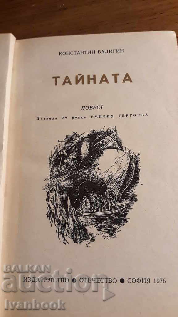 Auction The Youth Reader - The Secret - Konstantin Banigin Auction The Youth Reader - The Secret - Konstantin Banigin