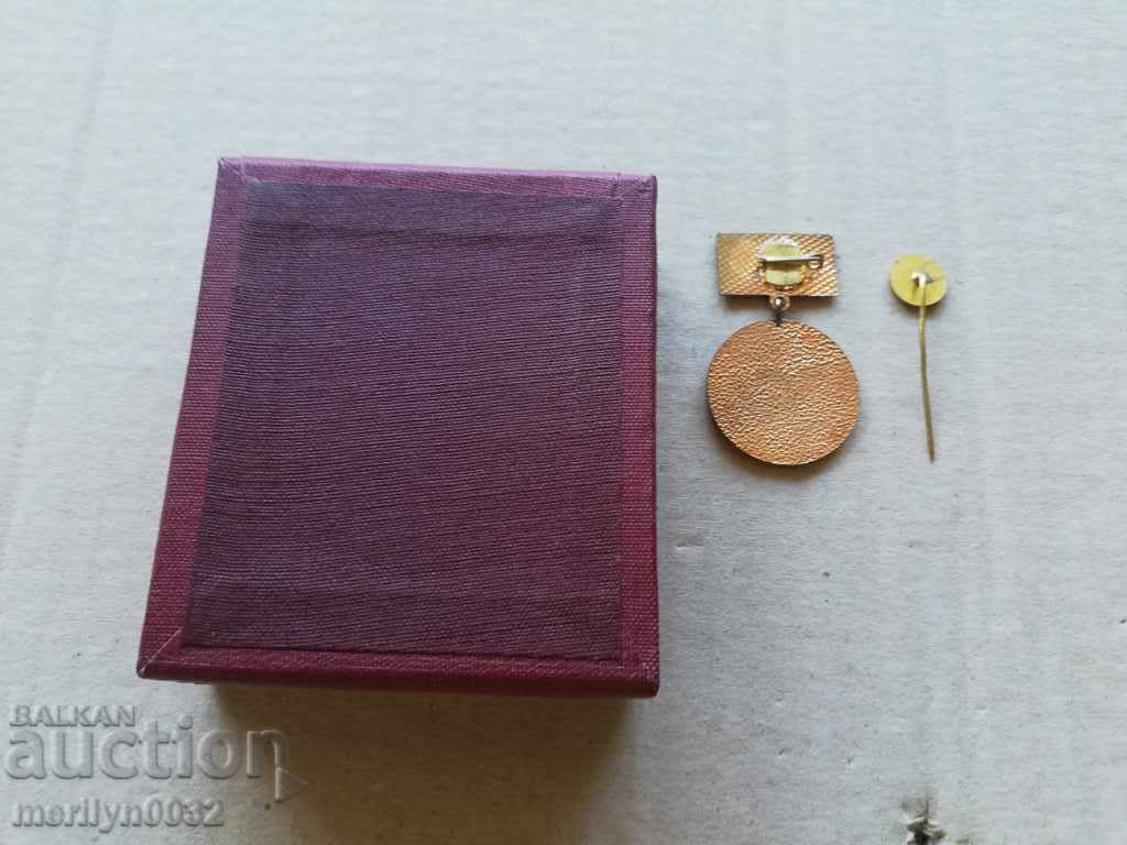 BRC Badge of Merit Designed Badgeur - 5 BRC Badge of Merit Designed Badgeur - 5