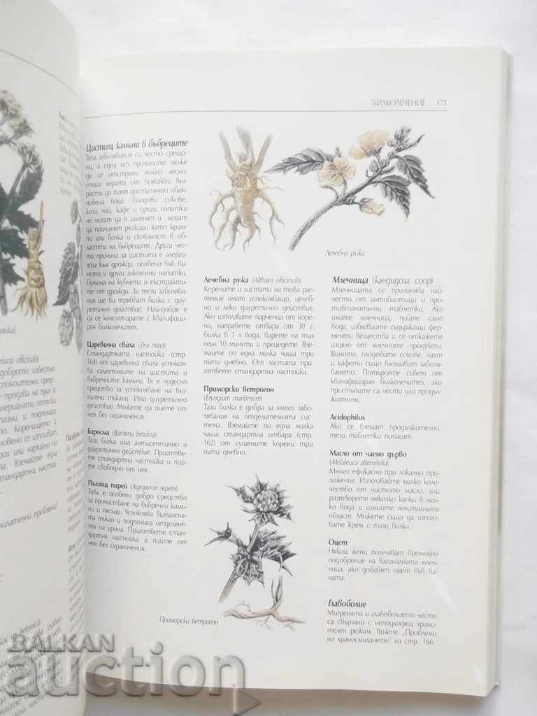 Natural Medicine - Andrew Stanway et al. 1998 with price 25.00 BGN | € 12.78 Natural Medicine - Andrew Stanway et al. 1998 with price 25.00 BGN | € 12.78