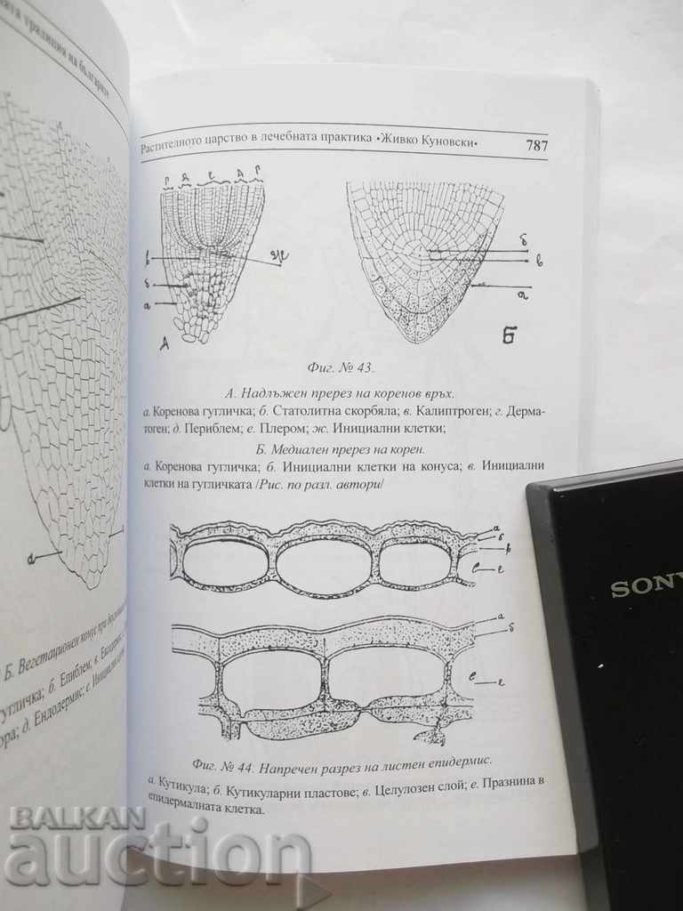 The healing tradition of the Bulgarians. Volume 1-2 Zhivko Kunowski with price 28.00 BGN | € 14.32 The healing tradition of the Bulgarians. Volume 1-2 Zhivko Kunowski with price 28.00 BGN | € 14.32