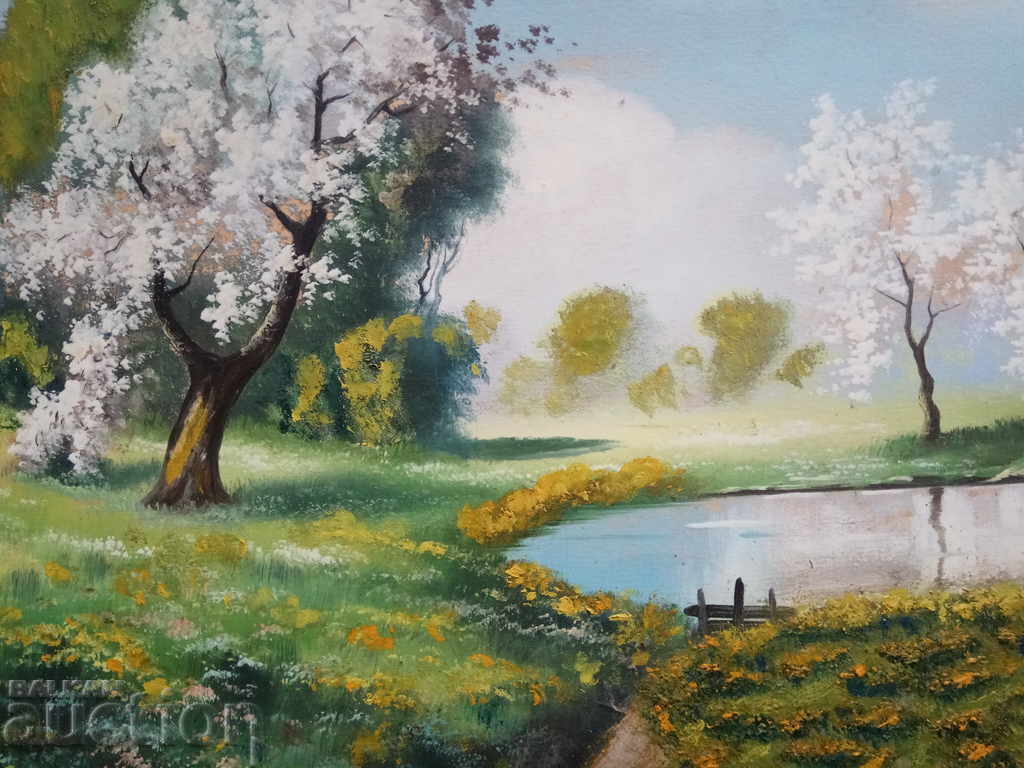 Licitație imagine: primăvară, lac...