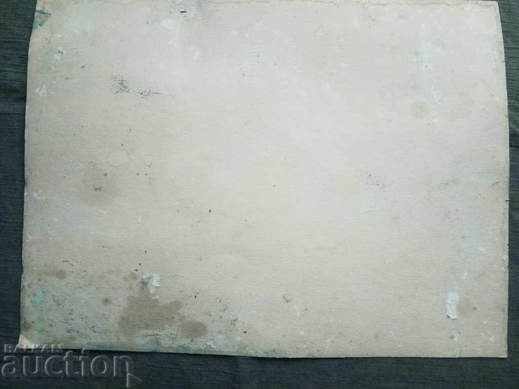 Livrarea imagine: primăvară, lac...