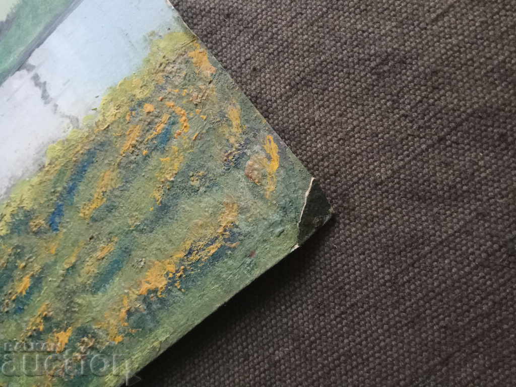 imagine: primăvară, lac... - 5