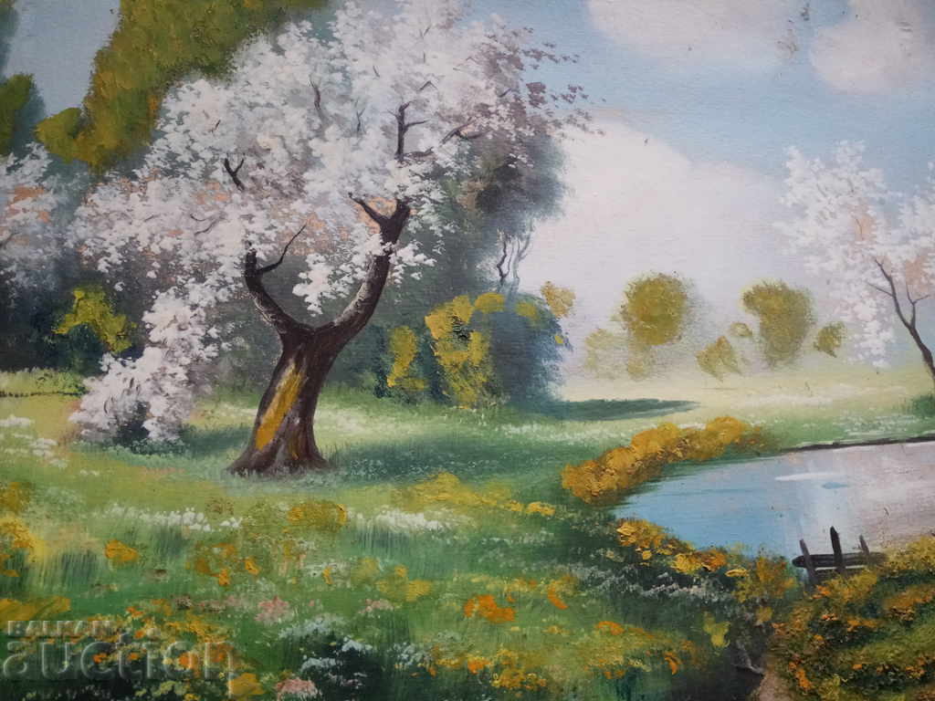 imagine: primăvară, lac... - 6