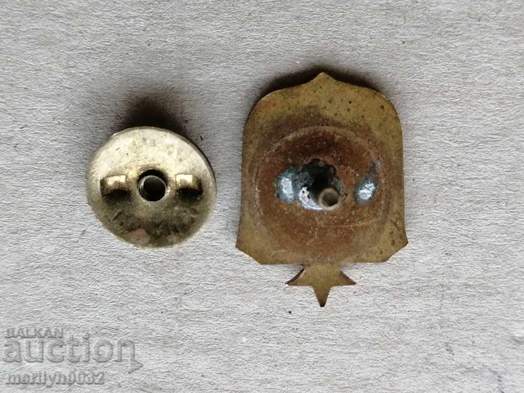 Πιστοποιητικό Badge Badge Badge Badge - 6