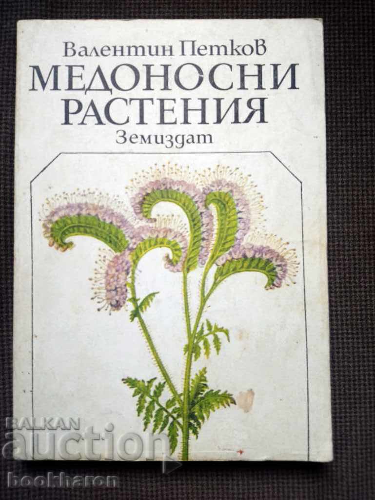 Валентин Петков: Медоносни растения