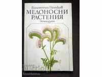 Valentin Petkov: plante cu miere