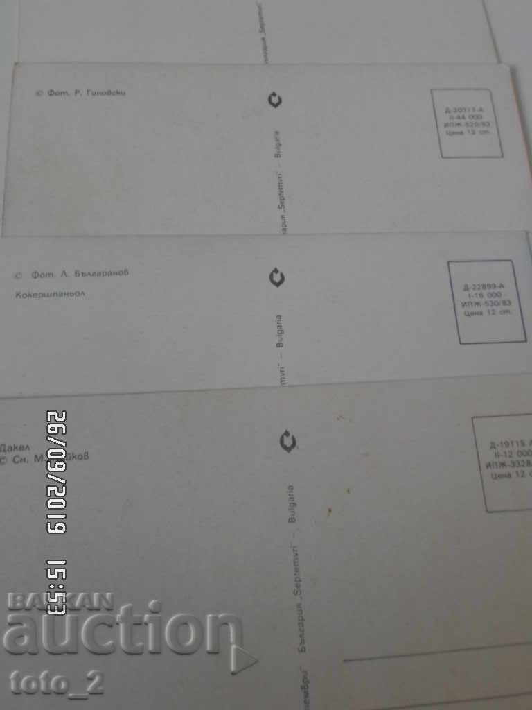 LOT OF 4 PUPPIES AND KITTEN CARDS with price 2.99 BGN | € 1.53 LOT OF 4 PUPPIES AND KITTEN CARDS with price 2.99 BGN | € 1.53